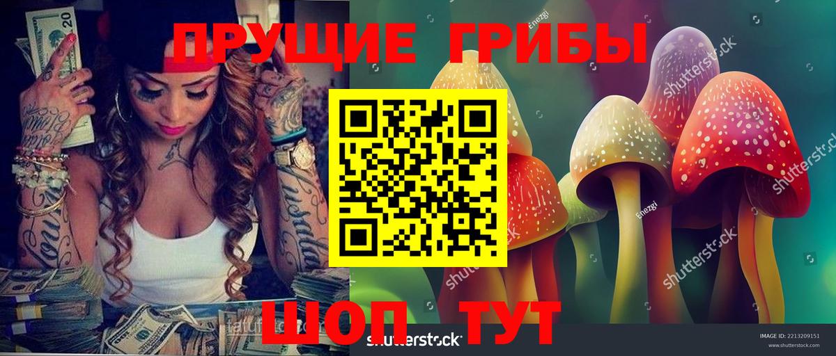 купить наркотик  Галлюциногенные грибы мицелий  Галлюциногенные грибы прущие грибы  Вход с VPN  Славянск-на-Кубани 