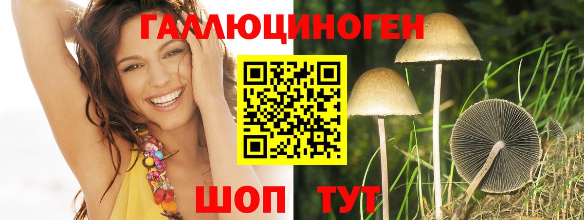 Псилоцибиновые грибы Cubensis Славянск-на-Кубани